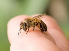 piqûre d'abeille pour l'agrandissement du pénis