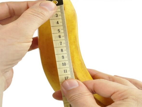Taille du pénis qui peut être augmentée grâce à l'exercice